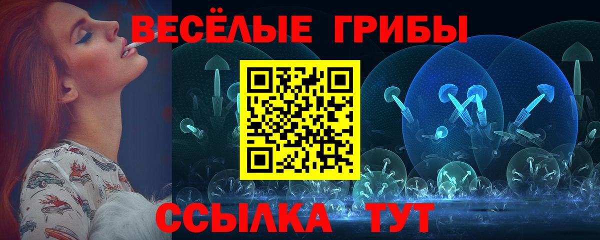 Псилоцибиновые грибы Psilocybe Белгород