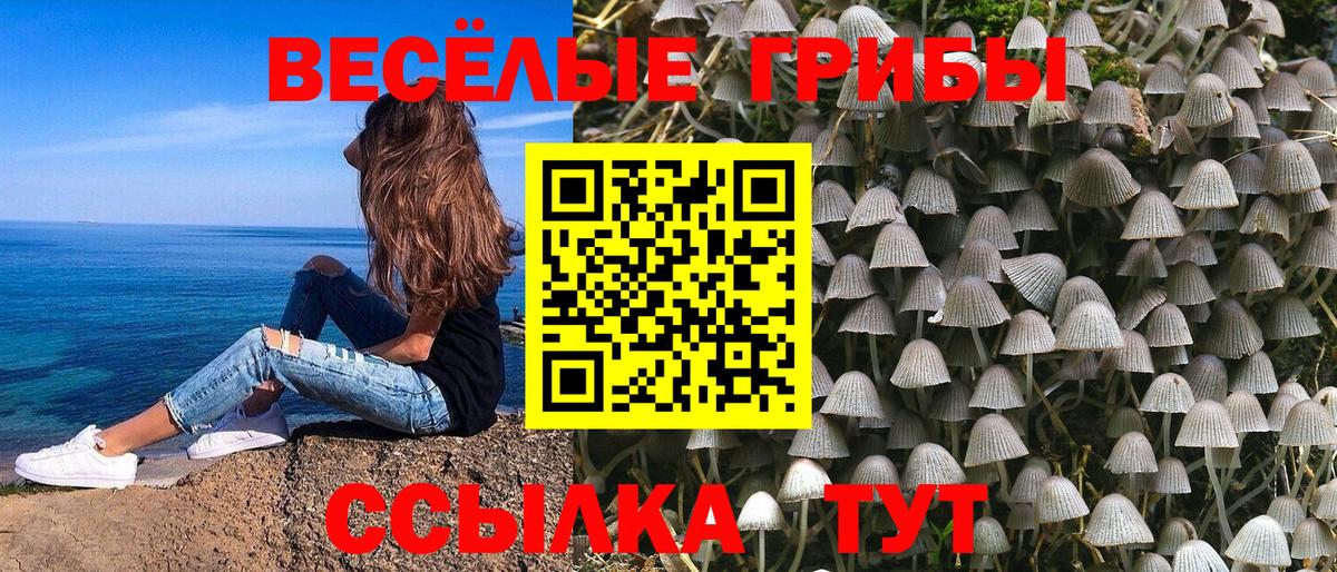Галлюциногенные грибы MAGIC MUSHROOMS  Вход с VPN  Белгород  Псилоцибиновые грибы MAGIC MUSHROOMS 